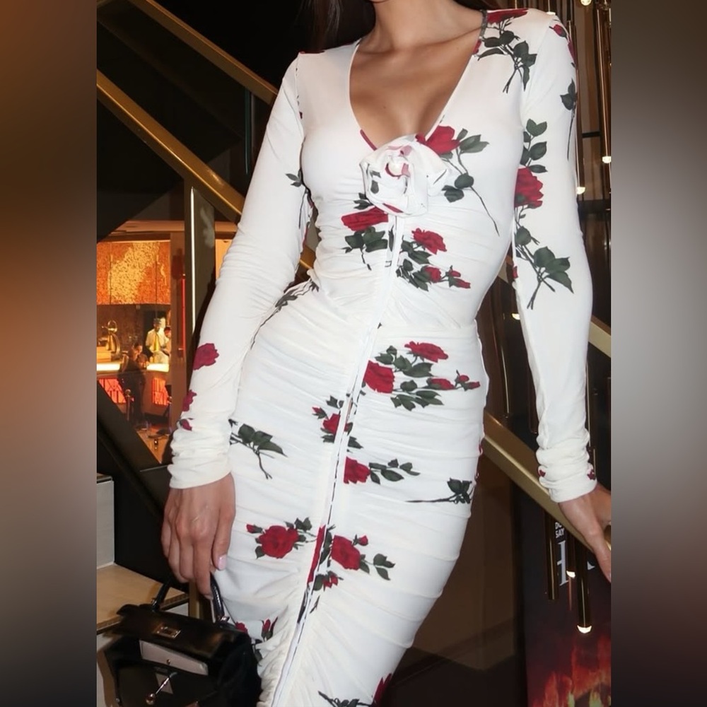 Magda Butrym rose ruched top and skirt